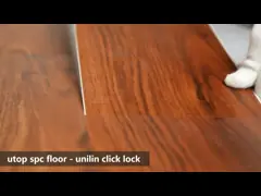 покрытие плиток настила Pvc планки настила SPC слоя носки 0.5mm водоустойчивое ультрафиолетовое video