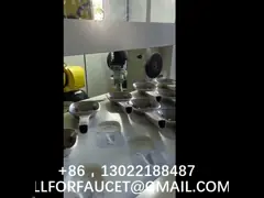 RTAF-RB02-Automatic Brushing Equipment Bathroom accessories brushing machinS