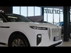 Deluxe Large Electric Cars SUV Hongqi E-HS9 120kWh 660km Range