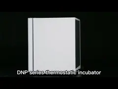 Lab Chamber Constant Temperature Incubator For Bacterial Microbial Culture 110V