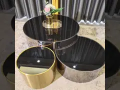 Современной журнальный стол гальванизировать нержавеющей сталью установил круглую таблицу конца металла video