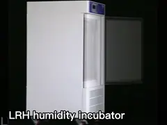 Инкубатор термостата контроля температуры цифров инкубатора СО2 СОВЕТА ДИРЕКТОРОВ температуры постоянного лаборатории бактериальный video