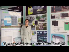 Наборы черни пути Dc/Ac конвертеров света солнечной системы домашней энергии портативные поручая video