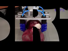 Gripper продовольственной безопасности 1600g всеобщий мягкий пневматический video