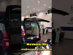 Легко устанавливается для Toyota Wish Автоматический багажник автомобиля Электрический подъемник задней двери video