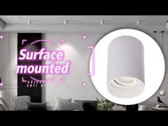 Регулируемый цилиндр IP20 СИД Downlights AC 220-240V поверхностный установленный video