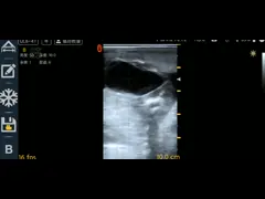 Машина 4.0MHz 6.0MHz 8.0MHz ультразвука ветеринарной системы ультразвука глупая video