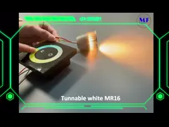 MR16 Module Tunable white