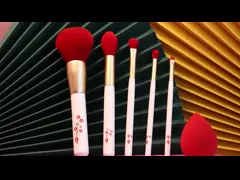 Особенная щетка макияжа перемещения картины цветка 5PCS персонализированная для теней для век порошка video