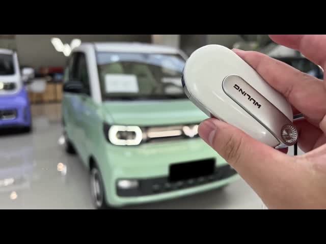 120km range Wuling Electric Vehicles RWD 3 Door 2 Box 4 Seater Electric Mini Car