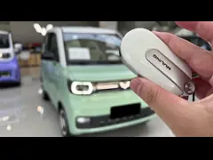 автомобиль Seater коробки 4 двери 2 электротранспортов RWD 3 Wuling ряда 120km электрический мини video