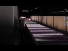 полные света СИД спектра 520W для органических заводов с инфракрасн для медицинских заводов video