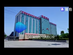China PVC Coated Holland Wire Mesh Fence Euro Animal Garden Fence 2.5m supplier