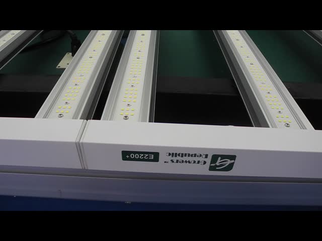 Energy Saving 1200W LED Grow Lights  For Flower Bloom And High Quality Yield