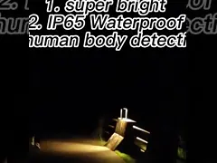 Wireless High Bright Outdoor Solar Wall Light IP68 For Garden 151 * 142 * 278mm