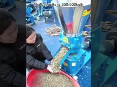 Лепешка птицы шлифовального станка 220v питания рыб делая машину video