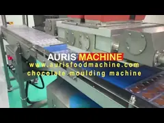 снятые двойные обломоки шоколада цветов 2d/3d одно делая распределитель шоколада машины депозируя video