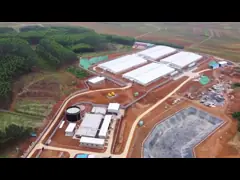 Клеть питомника свиней панели PVC отучая ручки с пластиковым Slatted полом video