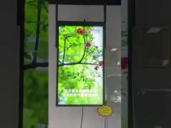 решения signage дисплея RJ45 WIFI 4G 55inch на открытом воздухе LCD цифровые video