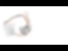 Двухполярный участок 2 Stepper мотора 20mm привода 24V микро- с шестерней металла video