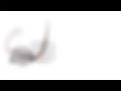 4 тип постоянного магнита Stepper мотора провода 35mm Stepper мотора 6 участка униполярных video