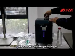 Богатая машина 600ml/Min вдыхания водопода H2 для домашний дышать video