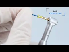 China Dental Cordless 16/1 Endo Motor With Apex Locator Endodontic Root Canal supplier