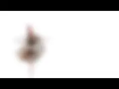 ПК US$2~5 шагая мотора 1 мотора 5VDC 10BY25 премьер-министра 10mm микро- Stepper мини video