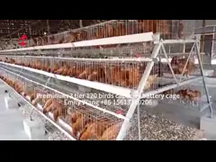 Hot Dipped Galvanized Layer Battery Cage System For Poultry Farm Q235 Steel Emily