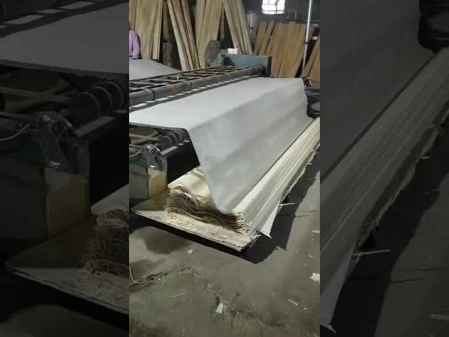 Natural Wood Rotary Cut White Birch Veneer Sheet With D+ Grade For Plywood