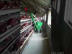 Система обработки 220v питания птицефермы, подгонянная радужка вагонетки питания птицы video