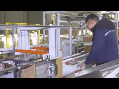 Разделенное оборудование Pharma машины упаковщика случая коробки верхний нагружать пакуя video