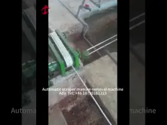 Торговая бройлерная курица птица мясо батарейная клетка система Ada video