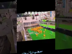 Automatic Electronic Fruit Sorter Ande Weigh Machine