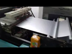 Статик молнии верхний анти- охватывает электростатические сумки для упаковки жесткого диска video