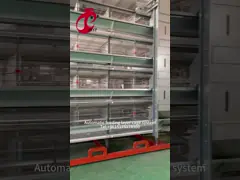 Автоматическое оборудование для птицеводческих ферм 4-го уровня. Дизайн куриной клетки 2.40м* 2.60м* 2.0м Роза video