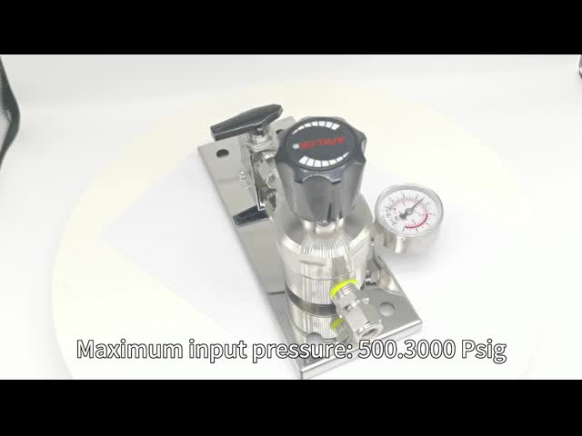Single Gauge 1.6Mpa Stainless Steel Pressure Regulator With Panel Ball Valve