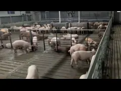 Клеть питомника поросенка ручки жиреть загородки панели PVC с заканчивая фидером video