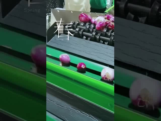 automatic fruit apple washing and waxing and sorting macine fruit sorting machine