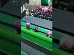 Автоматическая машина для мытья, воскообработки и сортировки фруктов video