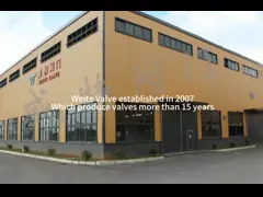 Multi гаван шариковый клапан пути дюйма DN250 3 углерода шарикового клапана стальной 16 video