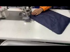 Несущая кота собаки с портативной машинкой вагонетки любимца несущей любимца рюкзака колес на открытом воздухе video