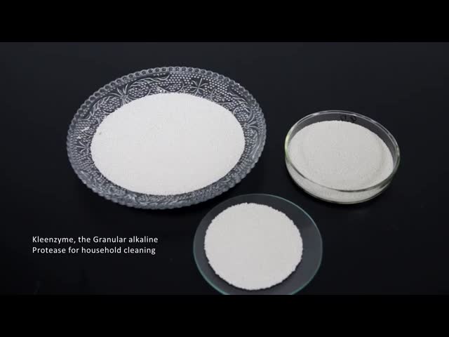 Detergent enzyme protease cellulase amylase