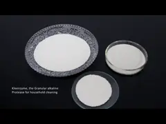 Detergent enzyme protease cellulase amylase