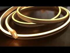 Прокладки неонового света переменчивого силикона гибкие на открытом воздухе делают 12V водостойким video