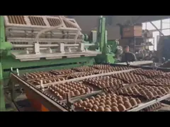 Corrugated Carton Paper Egg Tray Machine CE Approval 300kg/H Paper Consumption