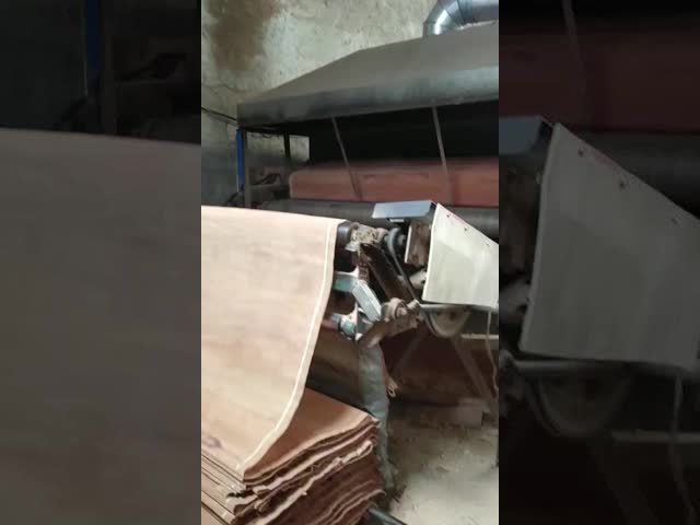 Natural Wood Rotary Cut PLB Veneer Sheet With 0.15-0.3mm For Plywood