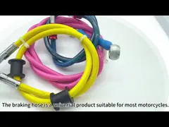 Ориентированная на заказчика длина 3.2mm 1/8 собрание рукава с плетеной внутренней прокладкой SS Ptfe video