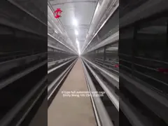 3/4/5/6 Tiers Automatic Chicken Battery Cage Equipment H Type For Layers Farm Emily video