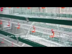 Most Popular Battery Cage Price In Nigeria Poultry Farming Hot Galvanized Adela